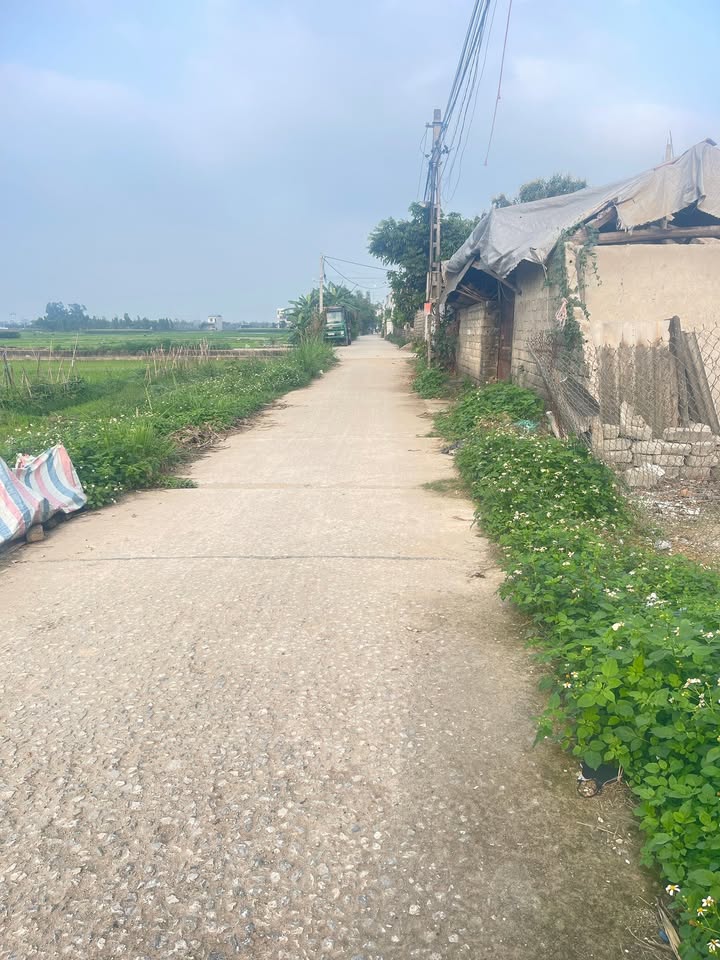 Đất nền Việt Yên 157m² giá chỉ từ 1 tỷ - Sổ đỏ chính chủ!