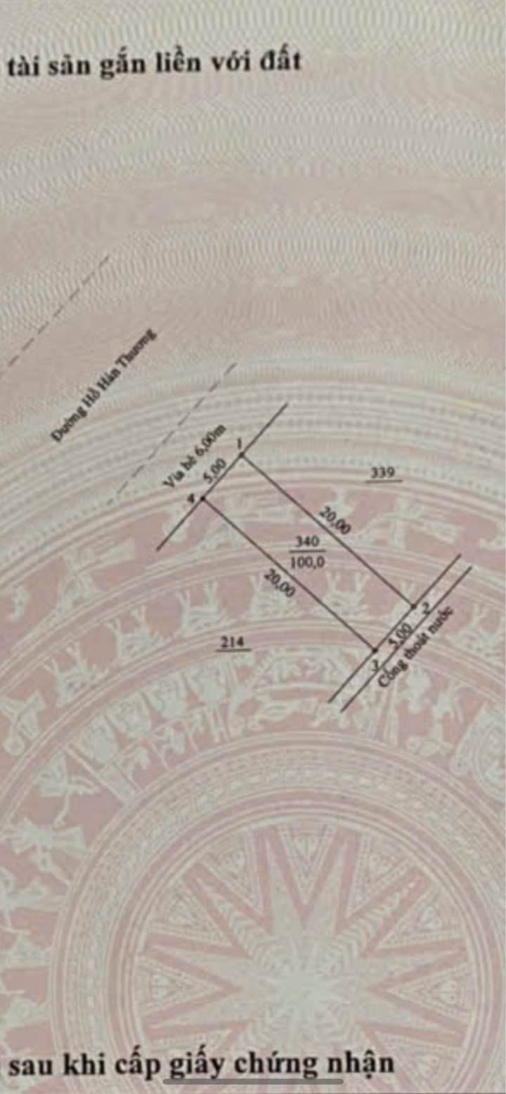 Đất nền Sơn Trà Đà Nẵng 100m² - Tiềm năng tăng giá vượt trội!