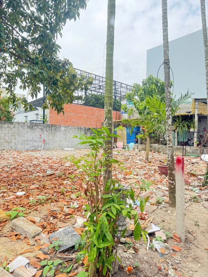 Đất nền 71m² Kiệt Nguyễn Công Hoan Cẩm Lệ - Tiềm năng tăng giá!