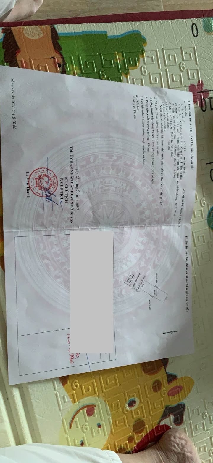 Đất nền 145m² (5x29m) hướng Tây Nam, Đông Sơn, Thanh Hóa - Giá tốt đầu tư