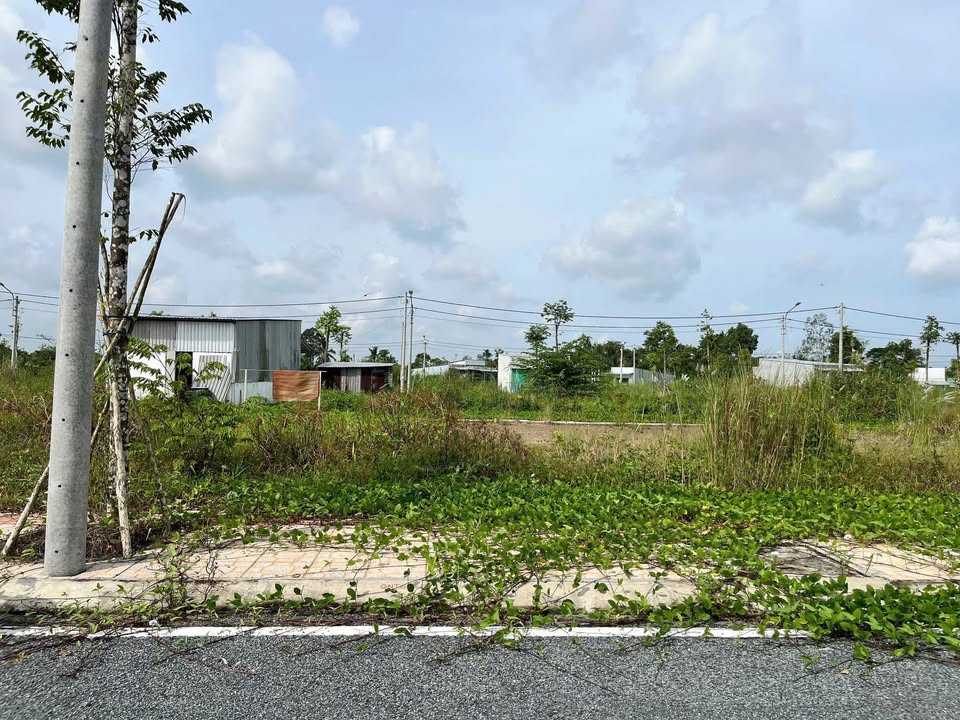 Đất Nền 80m² Thổ Cư Sổ Hồng - Tân Phú Thạnh, Hậu Giang - 750 Triệu