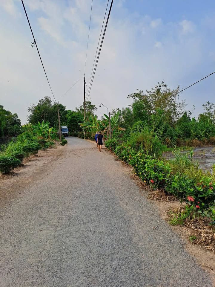 Bán đất ruộng mặt tiền đường nhựa 18.000m² - Long Thắng, Lai Vung, Đồng Tháp