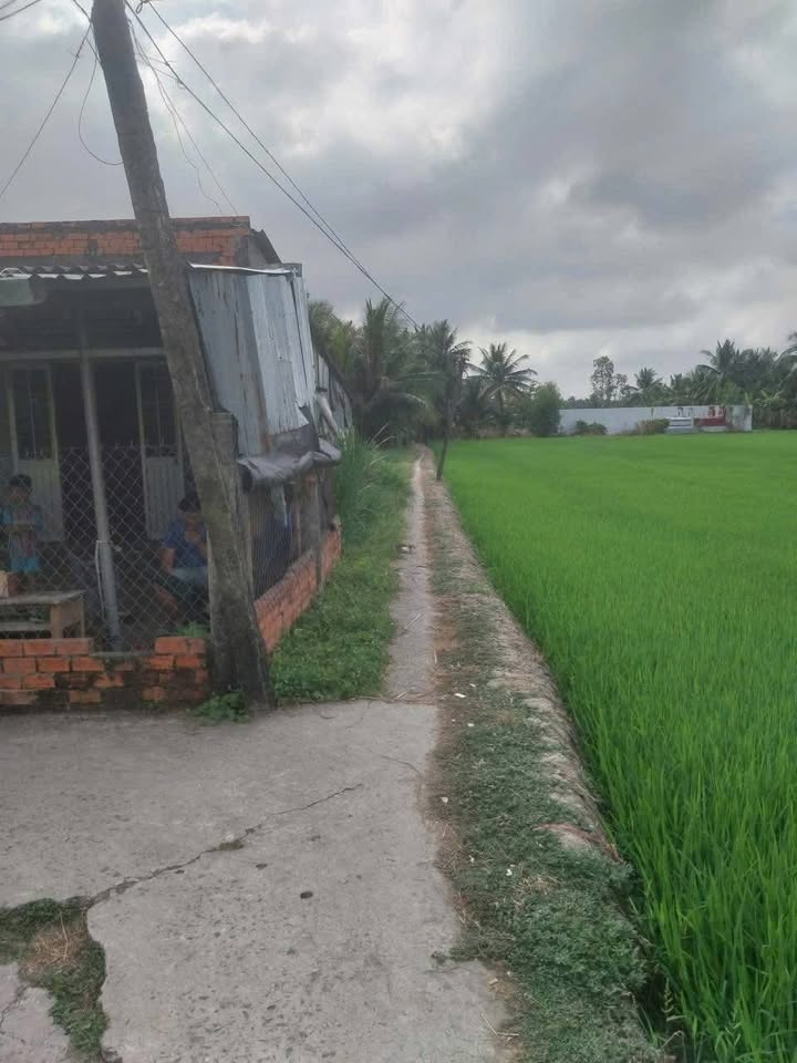 Bán Đất Vườn Tiền Giang 1000m² - Giá Tốt 350 Triệu