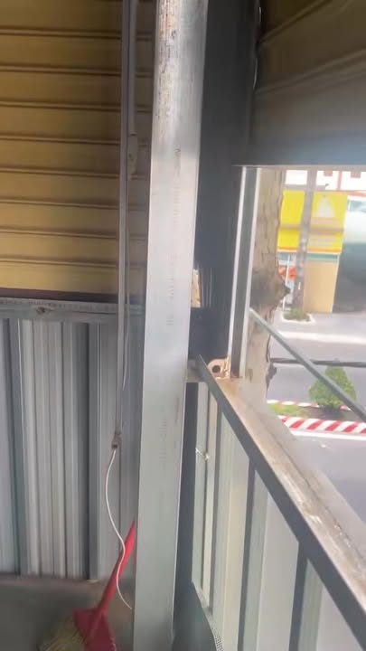 Mặt Tiền Kinh Doanh Huỳnh Văn Lũy, TDM - 80m², Giá 12 Triệu/Tháng