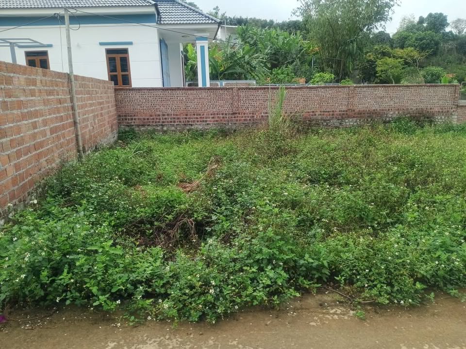 Đất Nền Thủy Nguyên 60m² Sổ Hồng Chính Chủ - Giá Nhỉnh 300 Triệu