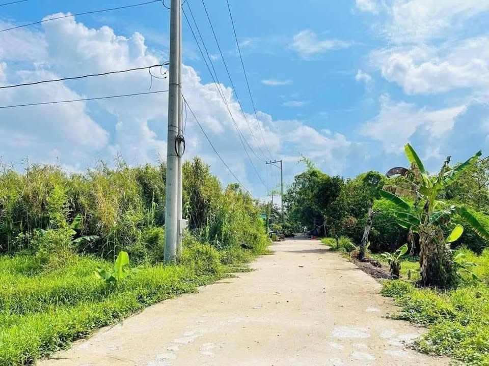 Đất nền Bông Giang Phong Điền 100m² - Đường to ô tô vi vu!