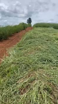 Bán Gấp Đất Vườn 13000m² Đắk Môl, Đắk Nông - Giá Chỉ 200 Triệu