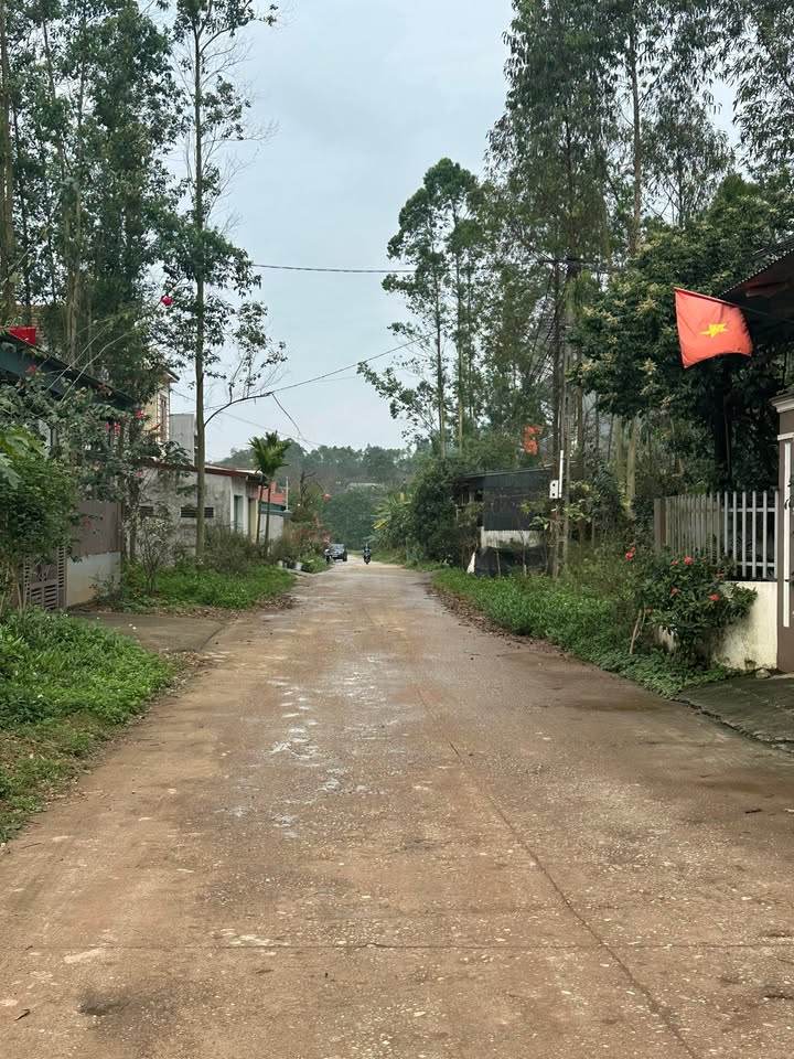 Đất nền 400m² Phú Nham, Phù Ninh - Tiềm năng tăng giá vượt trội!