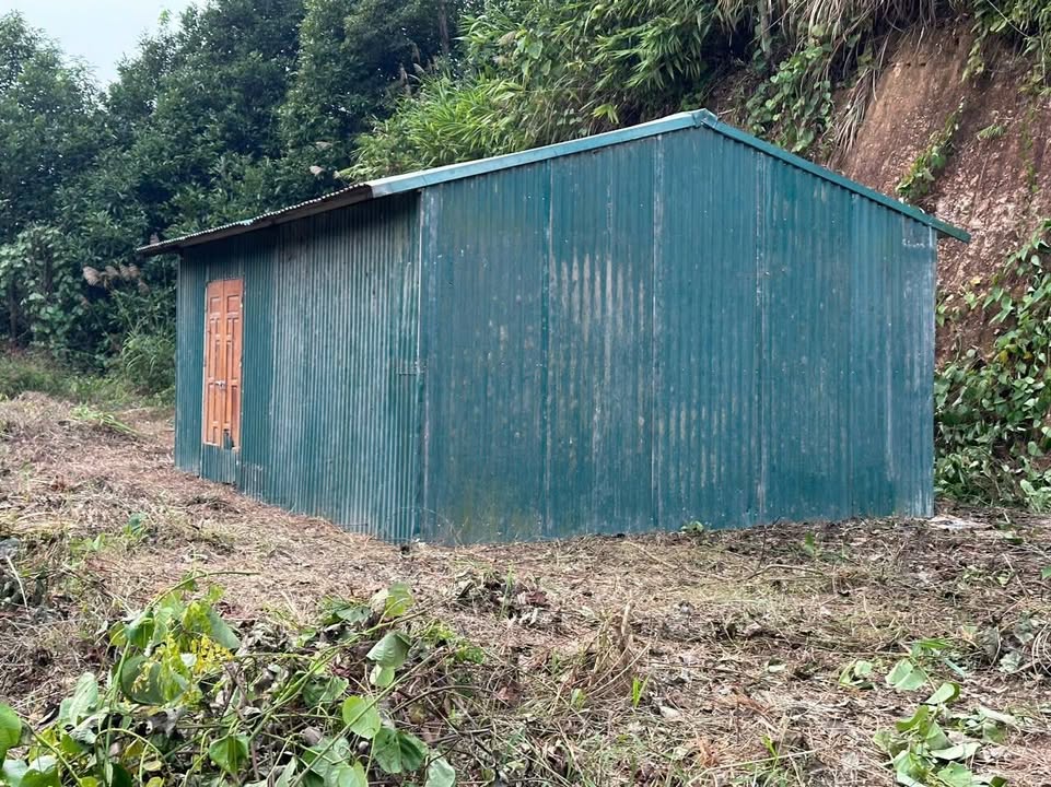 Bán Gấp Farm 1ha Xã Sơn Hà, Bảo Thắng - Có Xưởng Mới Dựng, Giá 790 Triệu