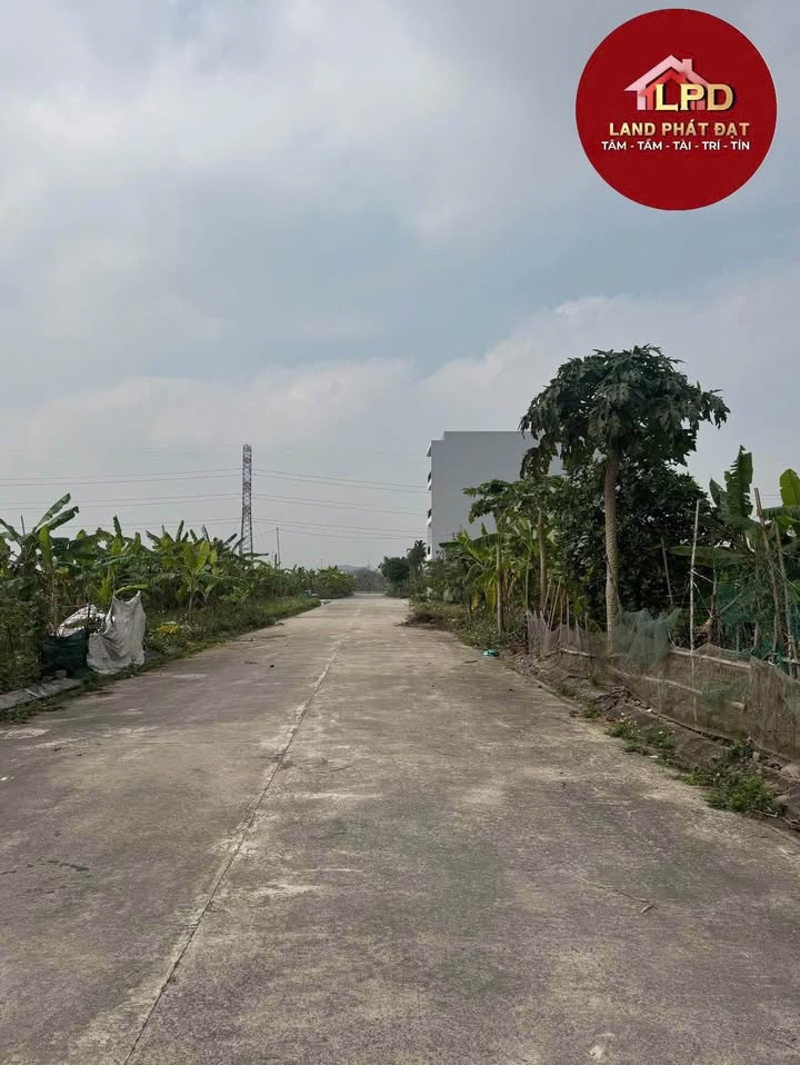 Lô Đất Đồng Chằm, Ninh Bình 120m² giá 8 tỷ - Sổ đỏ chính chủ!