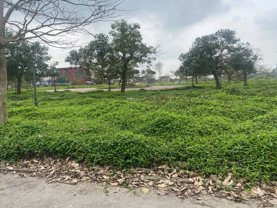 Đất nền KĐT Tam Đa, Yên Phong 97.5m² giá 2.x tỷ - Hạ tầng hoàn thiện!