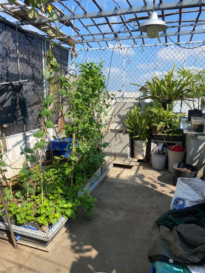 Nhà Mặt Tiền Kinh Doanh Đường 339, TP. Thủ Đức - 80m², 5PN, Giá 15.5 Tỷ