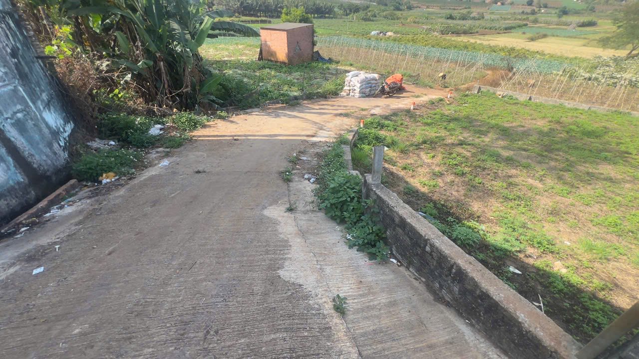 Đất nền Phường Diên Hồng Pleiku 95m² - Sổ đỏ công chứng ngay!