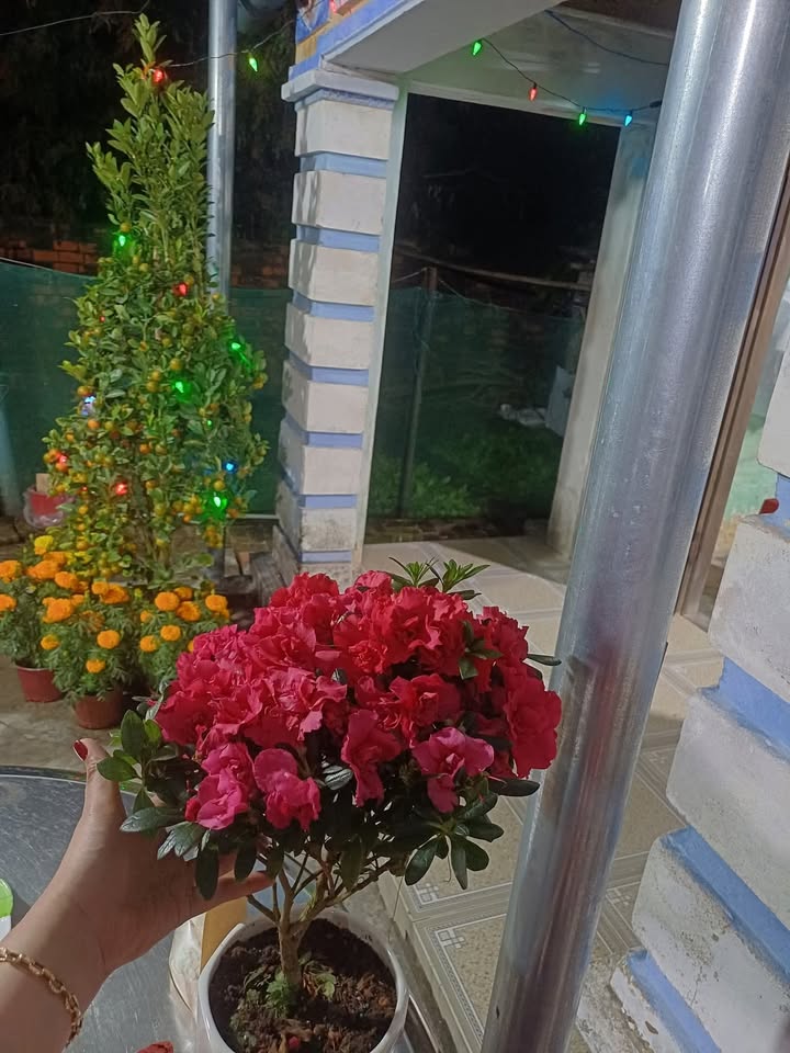 Đất nền Hẻm Bùi Đình Túy, Pleiku 150m² - Đất thổ cư 100%!