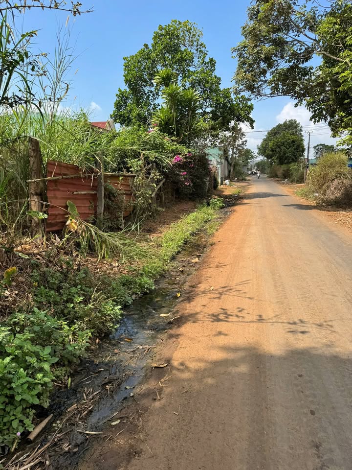 Đất Mặt Tiền Lý Chính Thắng, Pleiku 176m² Giá Tốt - Kinh Doanh Sầm Uất