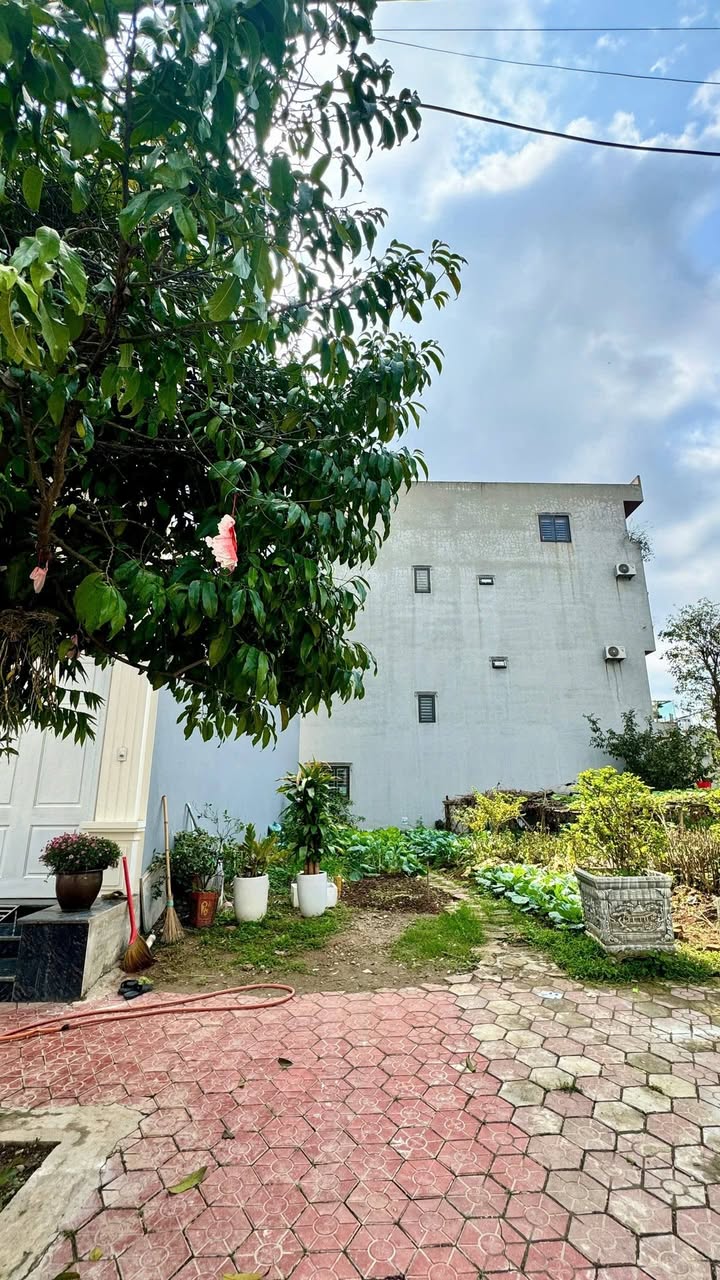 Bán Đất Nền Xã Hoàng Đồng, Lạng Sơn 87.5m² - Sổ Đỏ Sẵn Sàng