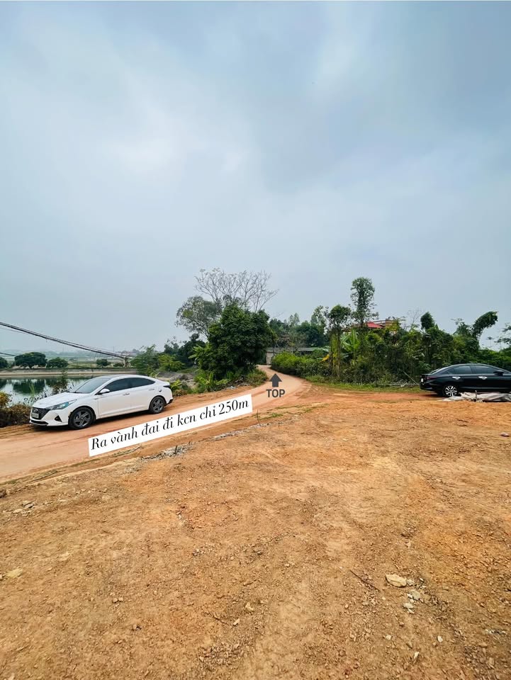 Bắc Giang: 2 Lô Liền Kề 300m² Ngay Vành Đai, Giá 1.2 Tỷ/Lô