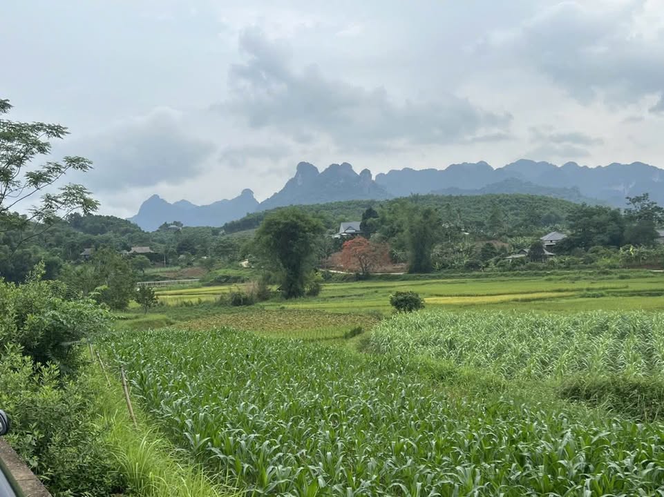 Đất nghỉ dưỡng Ba Vì 800m² 4.x tỷ - Tiềm năng tăng giá