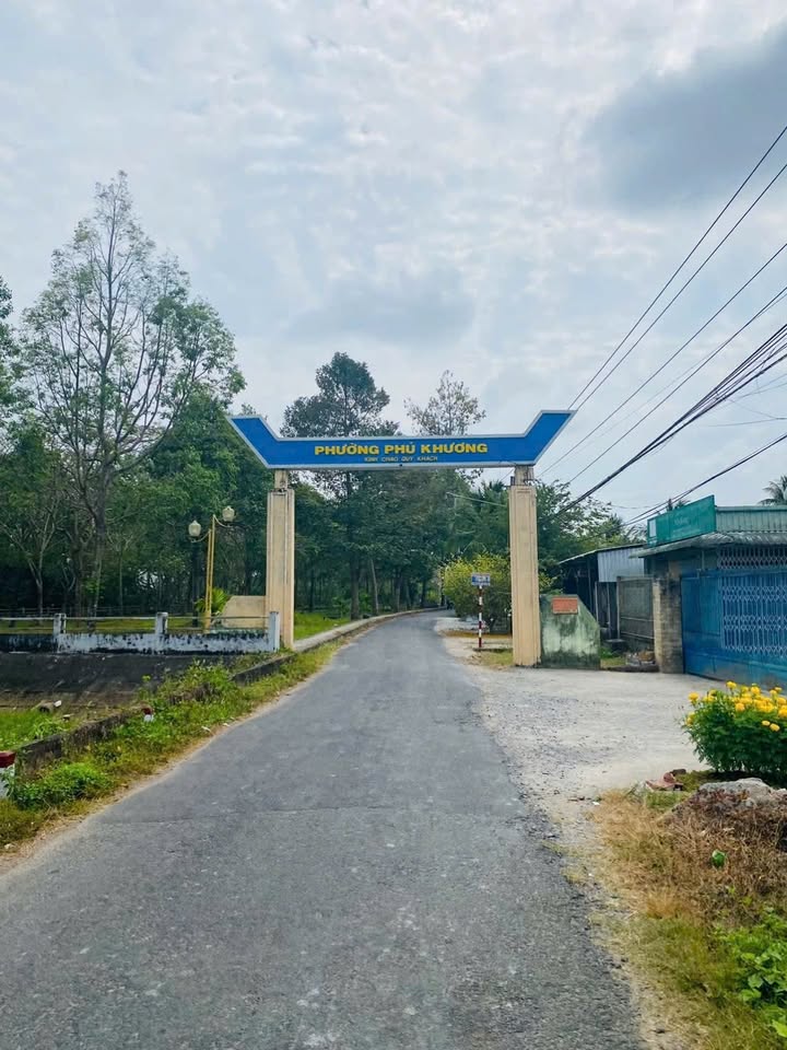 Đất Vườn Dừa 2300m² Phường Phú Khương, Bến Tre - Giá 1.78 Tỷ