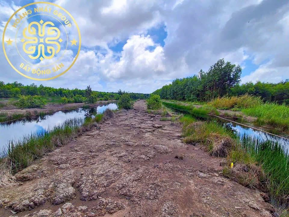 Đất nền Tuyến Kênh 29, U Minh 15000m² - Tiềm năng tăng giá!