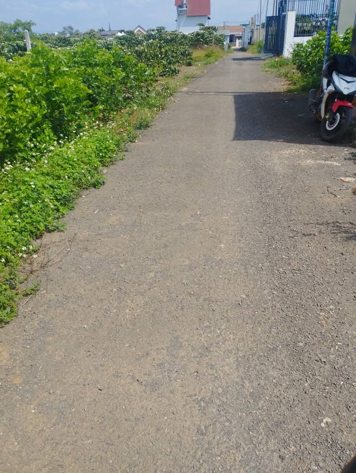 Đất Đà Lạt Hẻm Nguyễn Văn Cừ 500m² - Sổ Hồng Sẵn Sàng, Giá Đầu Tư 2.5 Tỷ