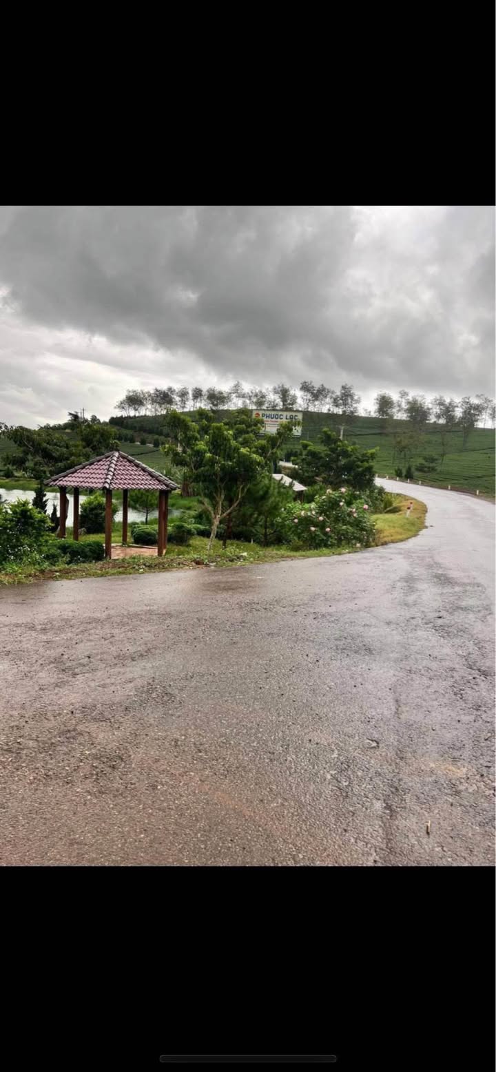 Đất vườn B'Lá Bảo Lâm 5000m² 1.35 tỷ - Nghỉ dưỡng lý tưởng!