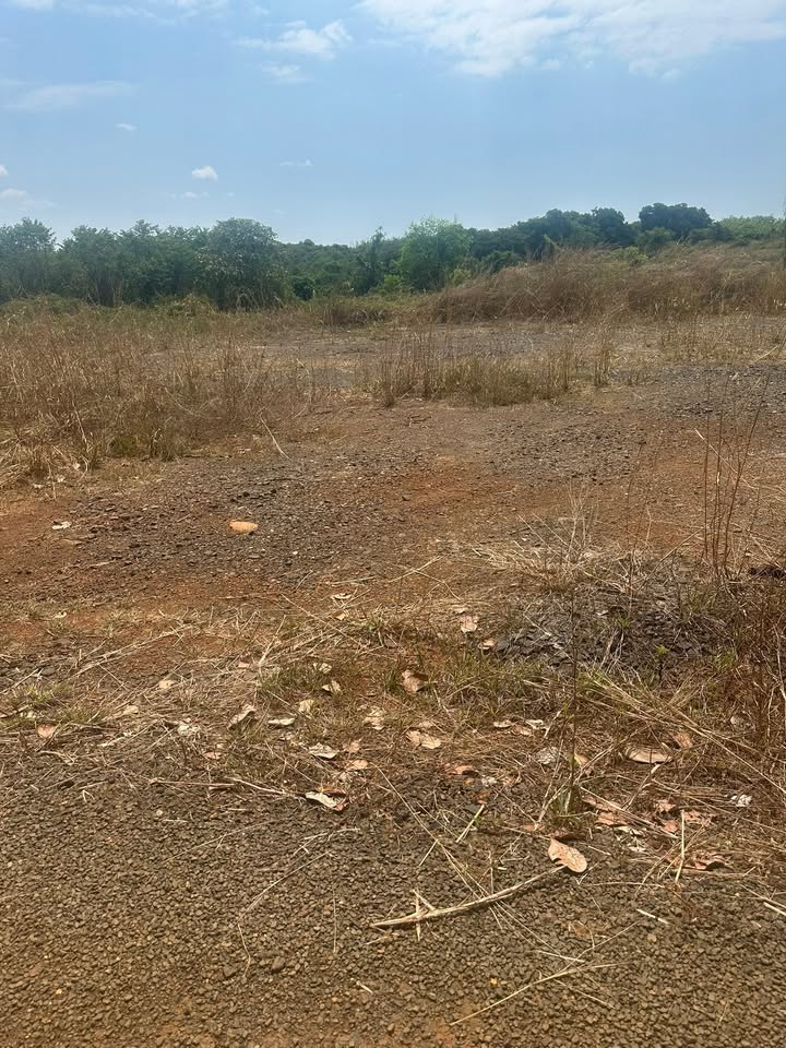 Đất nền Phú Trung 400m² - Sổ đỏ chính chủ, đường nhựa thông!