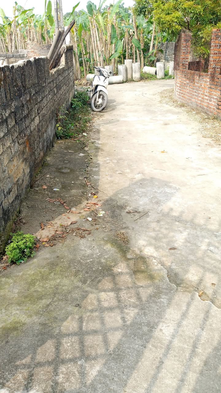 Đất Ngọc Sơn, Hiệp Hòa 130m² - Sổ đỏ, Ô tô vào đất, Giá 5xx triệu