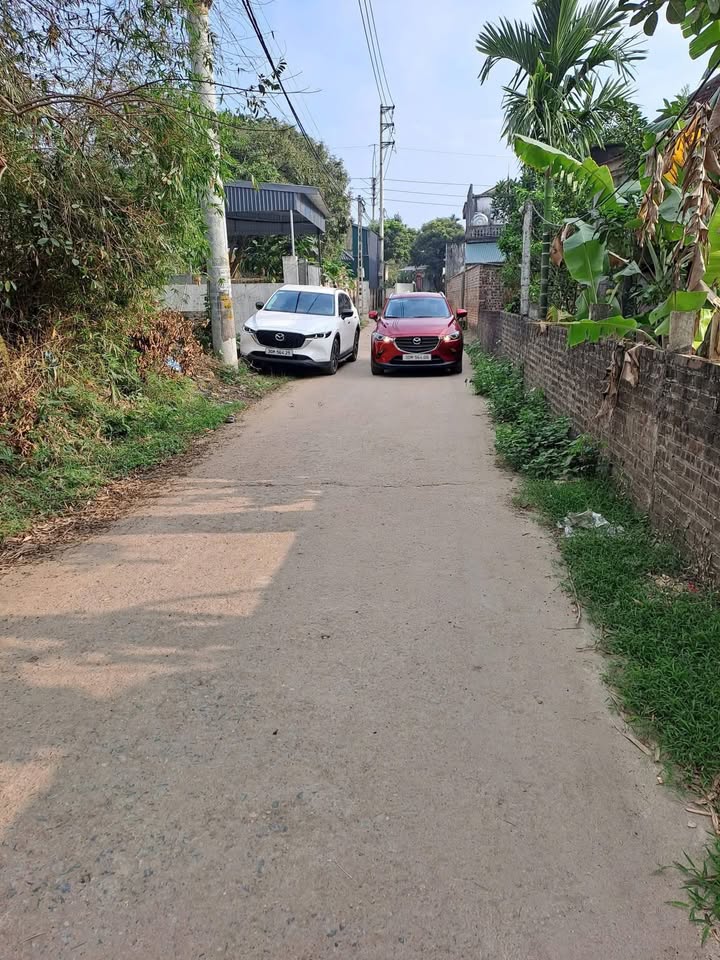 Đất Làng Tiên Phong - Thanh Ba 203m² - Sổ Đỏ Sẵn Sàng - Đầu Tư Sinh Lời