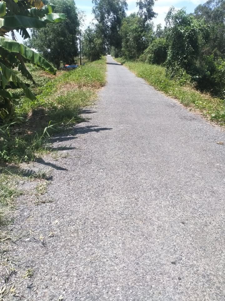 Đất nền Hưng Thạnh 1541m² Tiền Giang - Tiềm năng tăng giá vượt trội!