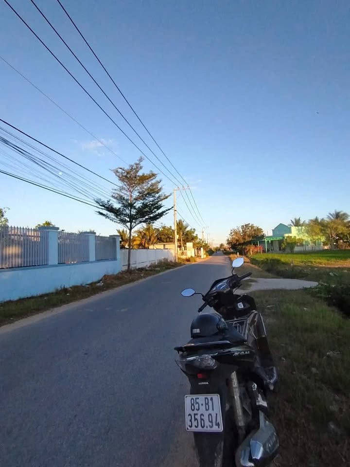 Bán Đất Tặng Nhà 310m² Mặt Tiền Đường Nhựa, Thuận Nam - Cơ Hội Đầu Tư Sinh Lời