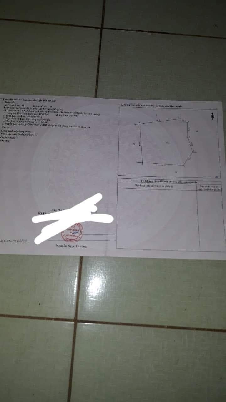 Đất rẫy Xuân Mỹ, Cẩm Mỹ 2520m² - Sổ hồng rõ ràng, sinh lời ngay!