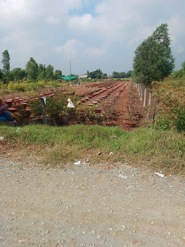 Đất mặt tiền Lập Thành Đức Hòa 2400m² - Pháp lý rõ ràng