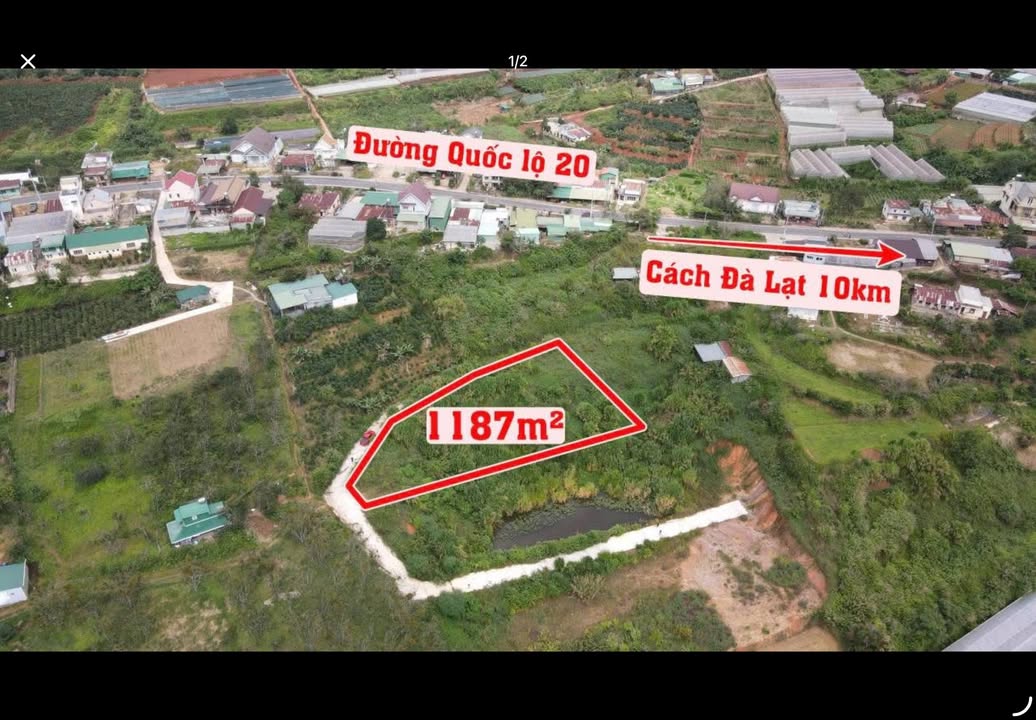 Đất Nền Đà Lạt 1187m² - View Thoáng Đẹp, Sẵn Sàng Xây Dựng