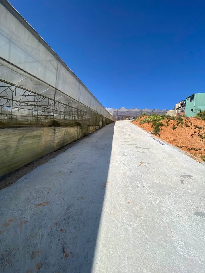 Đất Cao Thắng Đà Lạt 333m2 7.2 tỷ - Sổ riêng công chứng