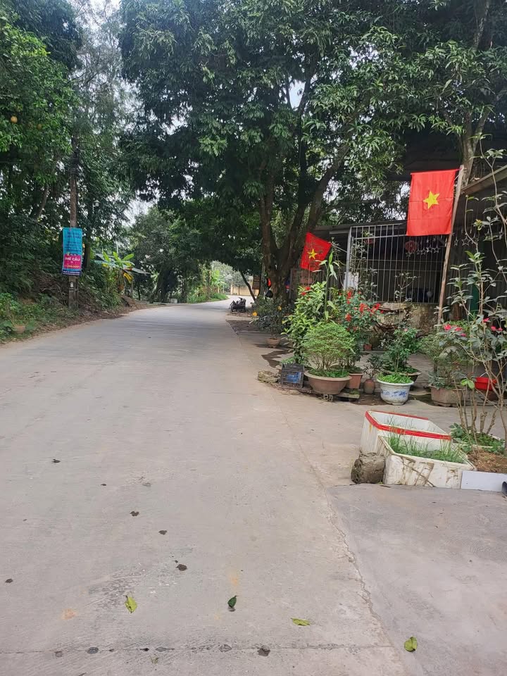 Đất Nền An Tường, Tuyên Quang - 90m² Sẵn Sổ, Giá Tốt