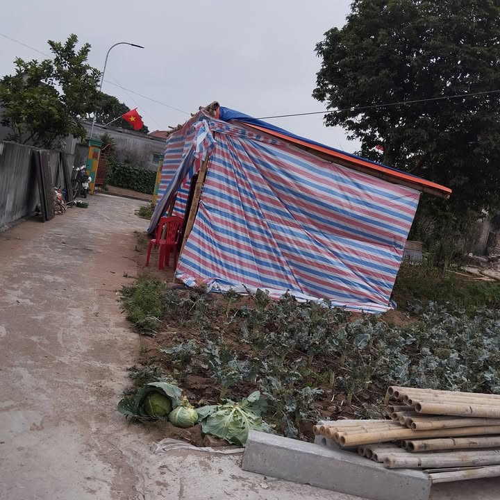 Đất nền Giao Thủy Nam Định 142m² giá 650 triệu - Sổ đỏ chính chủ