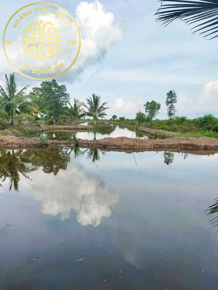 Đất sản xuất Xã Thới Bình 10.000m² - Tiềm năng tăng giá