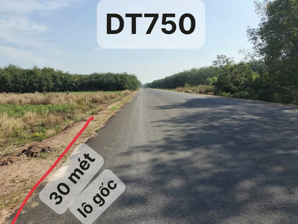 Đất MT Hồ Chí Minh Dầu Tiếng 1956m² - Giá Ngộp 3 Tỷ - Sổ Đỏ Sẵn Sàng