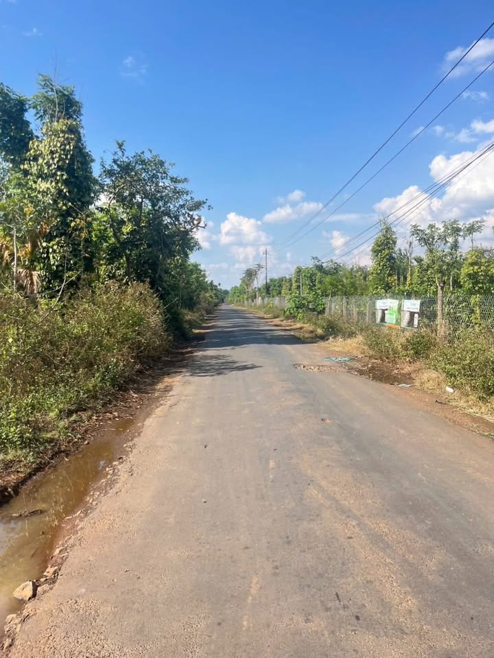 Đất Vườn Mặt Tiền Eakao, Đắk Lắk - 820m² Sổ Hồng Riêng