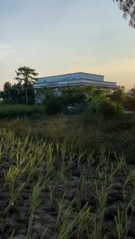 Đất nền Tiền Giang 2000m² - Mặt tiền 40m, đường to ô tô!