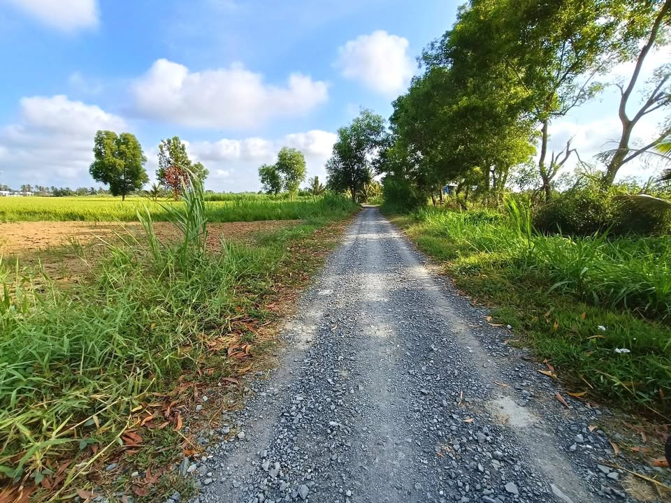 Đất nền Gò Công Tây Tiền Giang 1050m² - Xây dựng tự do!