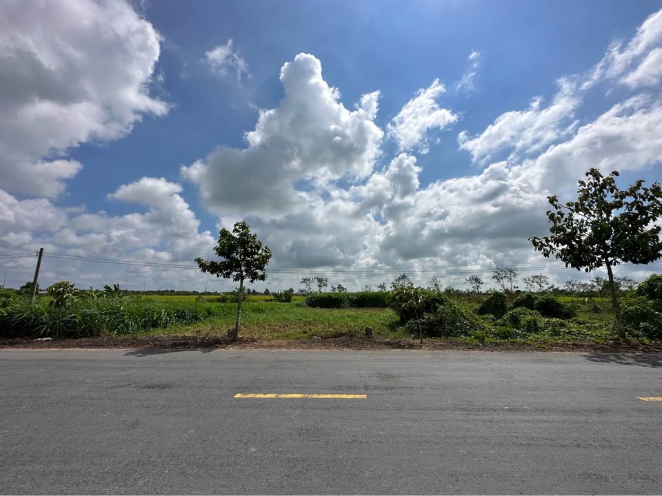 Đất nền Sổ hồng 203m² - Gò Công Tây, Tiền Giang - Giá 800 triệu