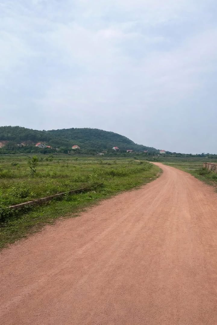 Đất nền Chí Linh 1021m² – Đầu tư sinh lời vượt trội!