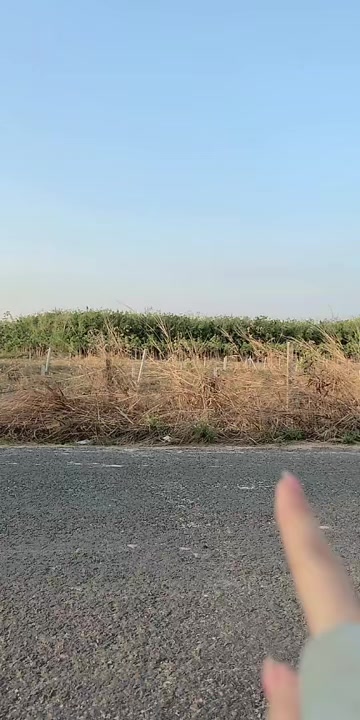 Đất nền Bến Cầu, Tây Ninh 250m² giá 300 triệu - Sổ đỏ chính chủ!