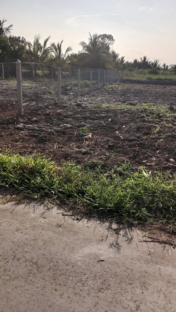 Bán đất nền Trần Đề 500m² giá 300 triệu - Sổ đỏ chính chủ!