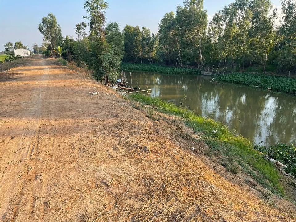 Đất Ruộng 6.8ha Đồng Tháp - 2 Mặt Tiền Kênh Sáng, Xe Hơi Tới Đất