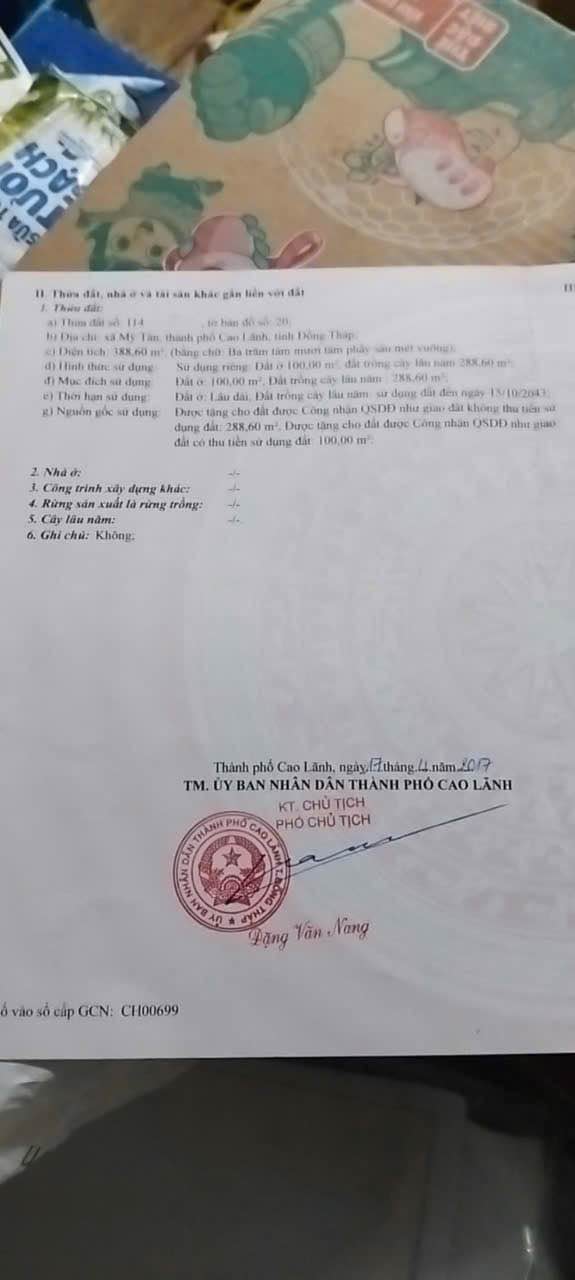 Đất nền Mỹ Tân Cao Lãnh 388.6m² - Sổ đỏ chính chủ, giá tốt!