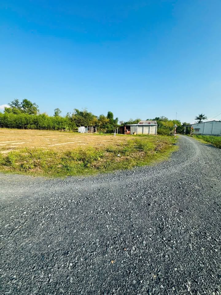 Đất nền Long Chữ, Bến Cầu 150m² - Sổ đỏ chính chủ, giá chỉ 245 triệu!