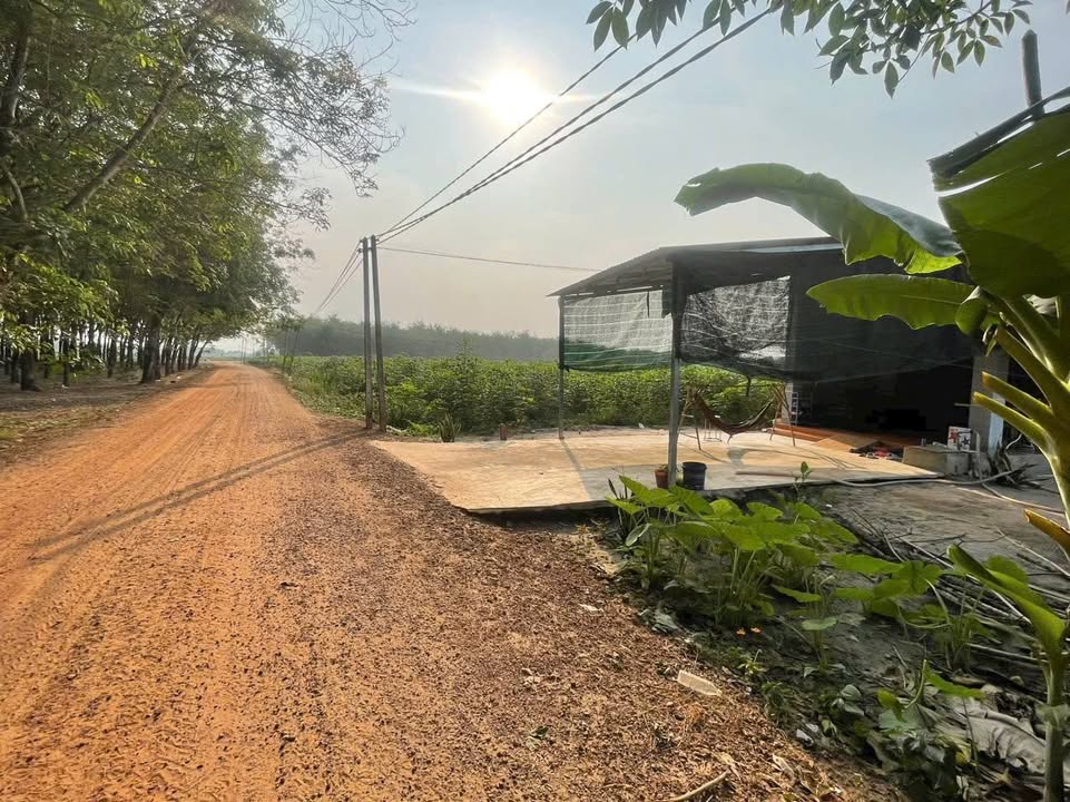 Đất thổ cư 200m² Tân Phú, Tây Ninh - Giá 2.7 tỷ, Sẵn Sổ Hồng